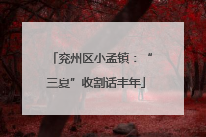 兖州区小孟镇：“三夏”收割话丰年